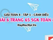 Giải bài 6 trang 65 Toán 8 Tập 1 SGK Cánh Diều